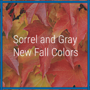 Sorrel and Gray | New Fall Colors