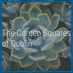 The Garden Squares of Dublin